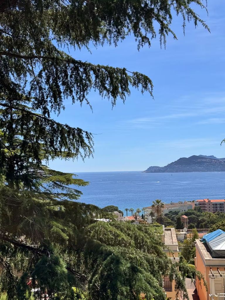 Vue sur la baie de Cannes et le massif de l'Estérel depuis les hauteurs de la résidence Villa Francia, à travers les pins