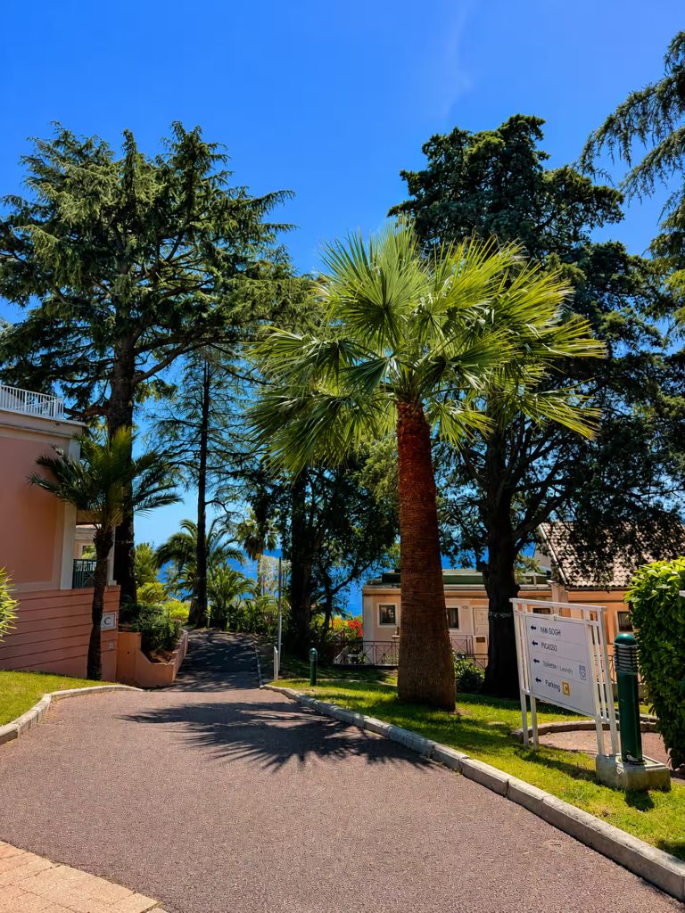Allée du parc de la résidence Villa Francia bordée de palmiers et de cèdres, avec un panneau indiquant les bâtiments, la laverie et le parking